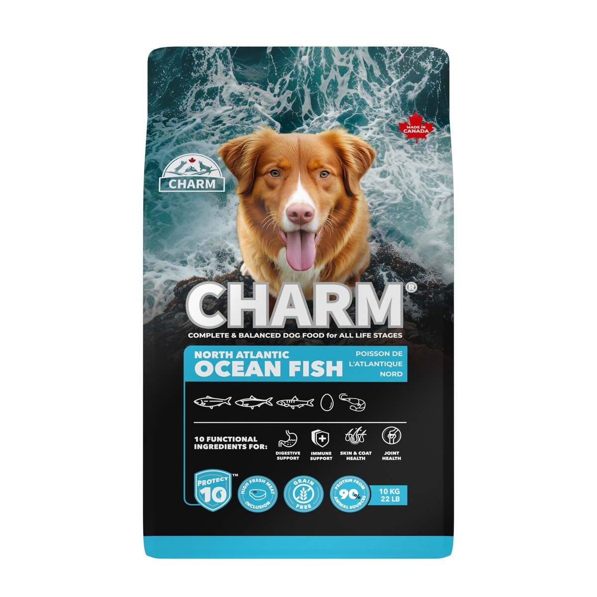 チャーム オーシャンフィッシュ 10kg