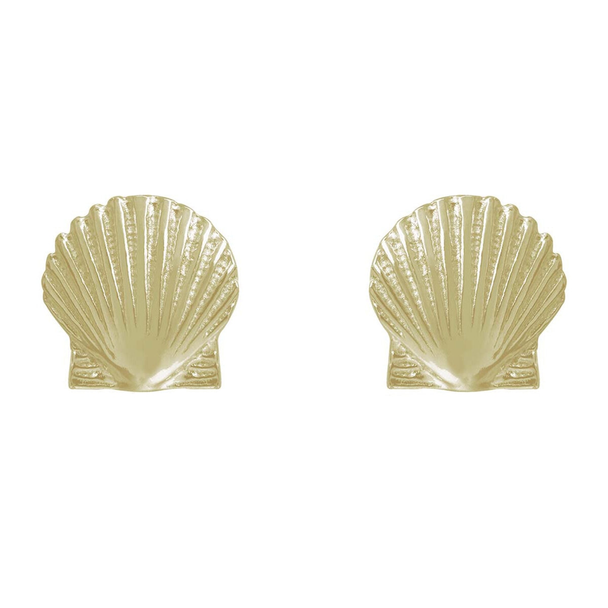 18K イエローゴルド シーシェルピアス
