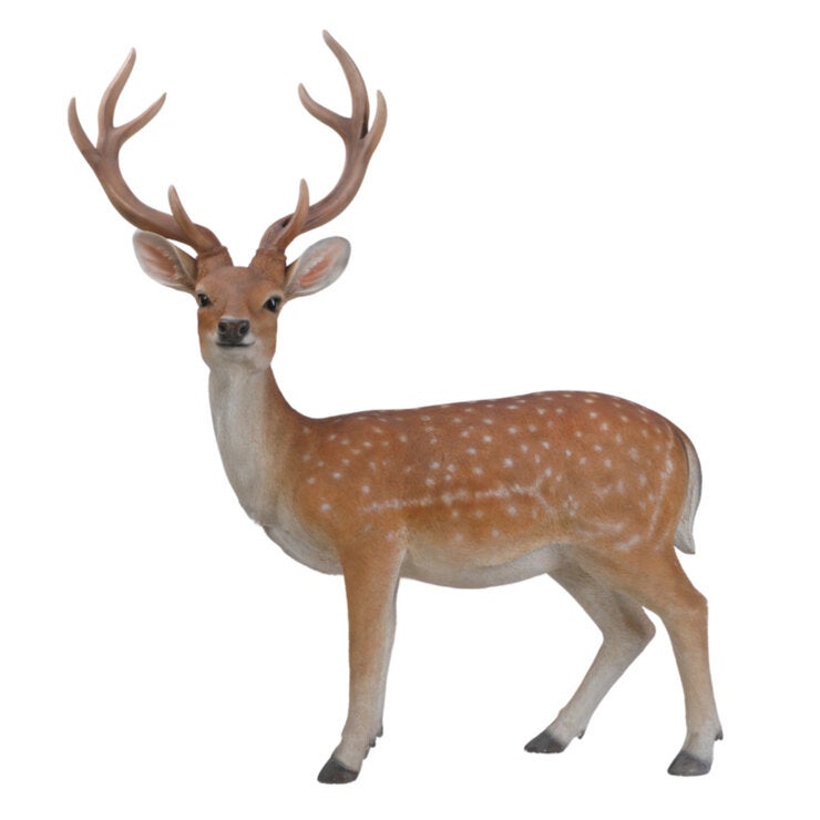 ウービア エゾジカの置物 特大 H12462