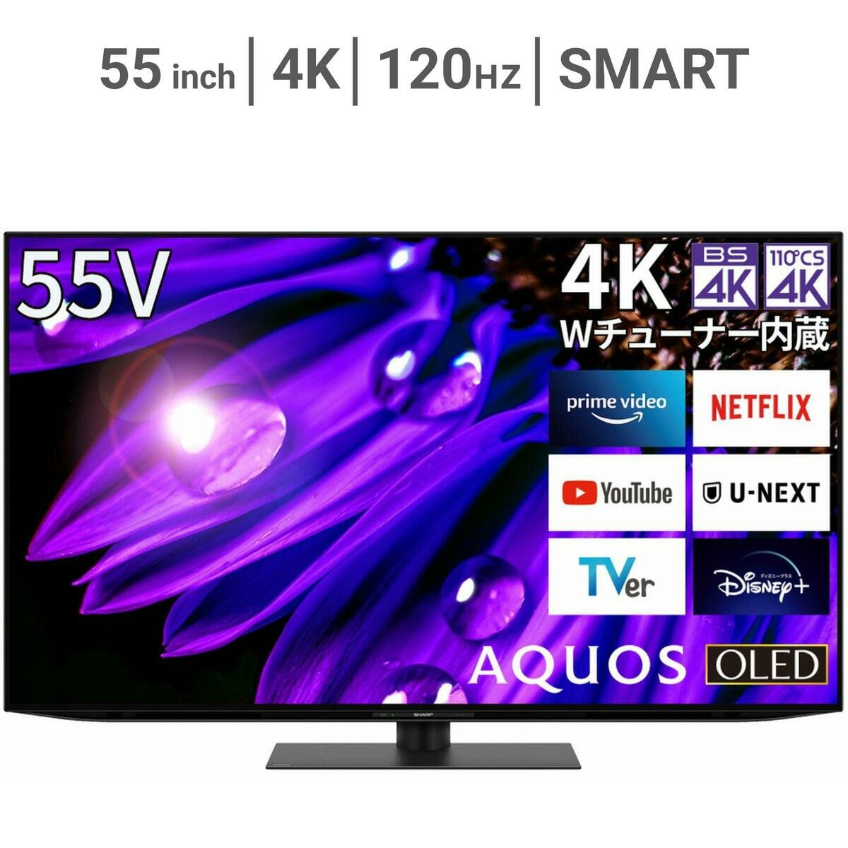 シャープ アクオス 55インチ 4K有機ELテレビ 4T-C55EQ1