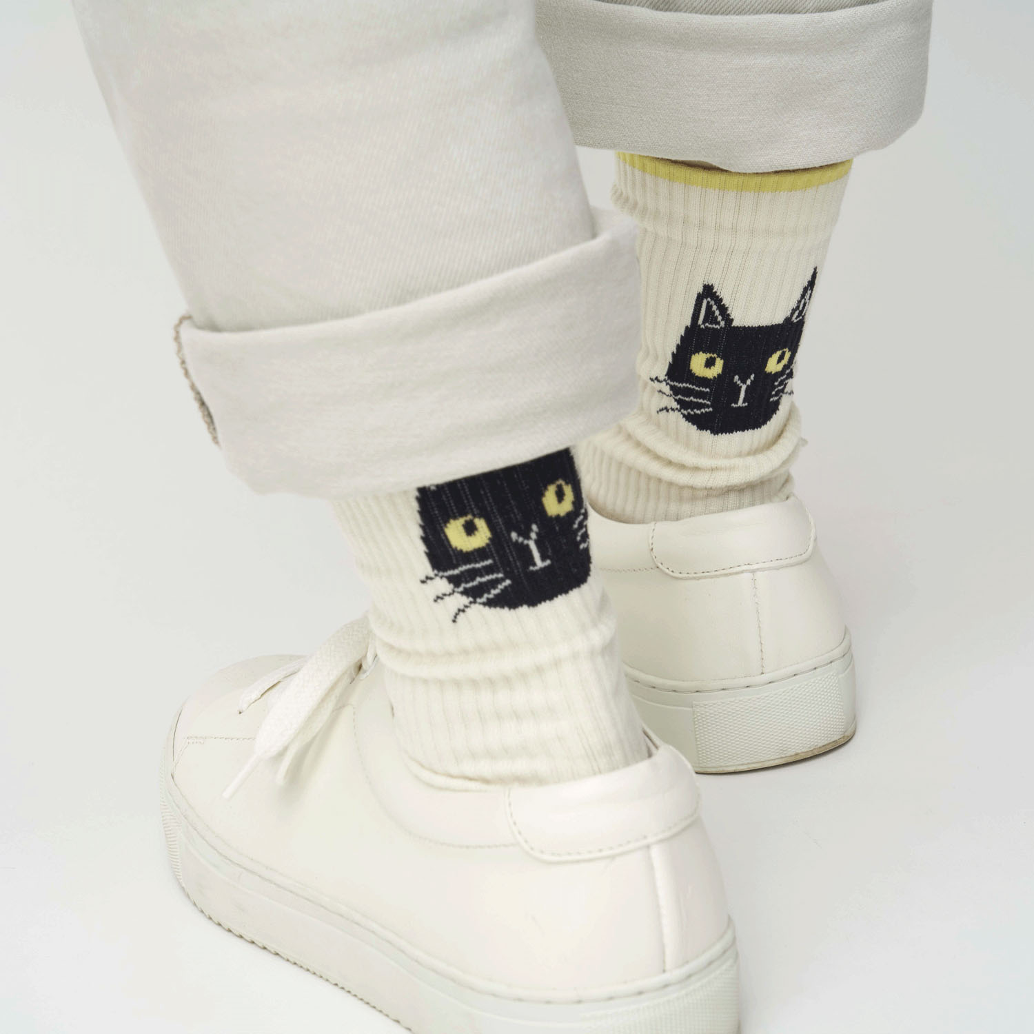 fromF miau わたしとぼく