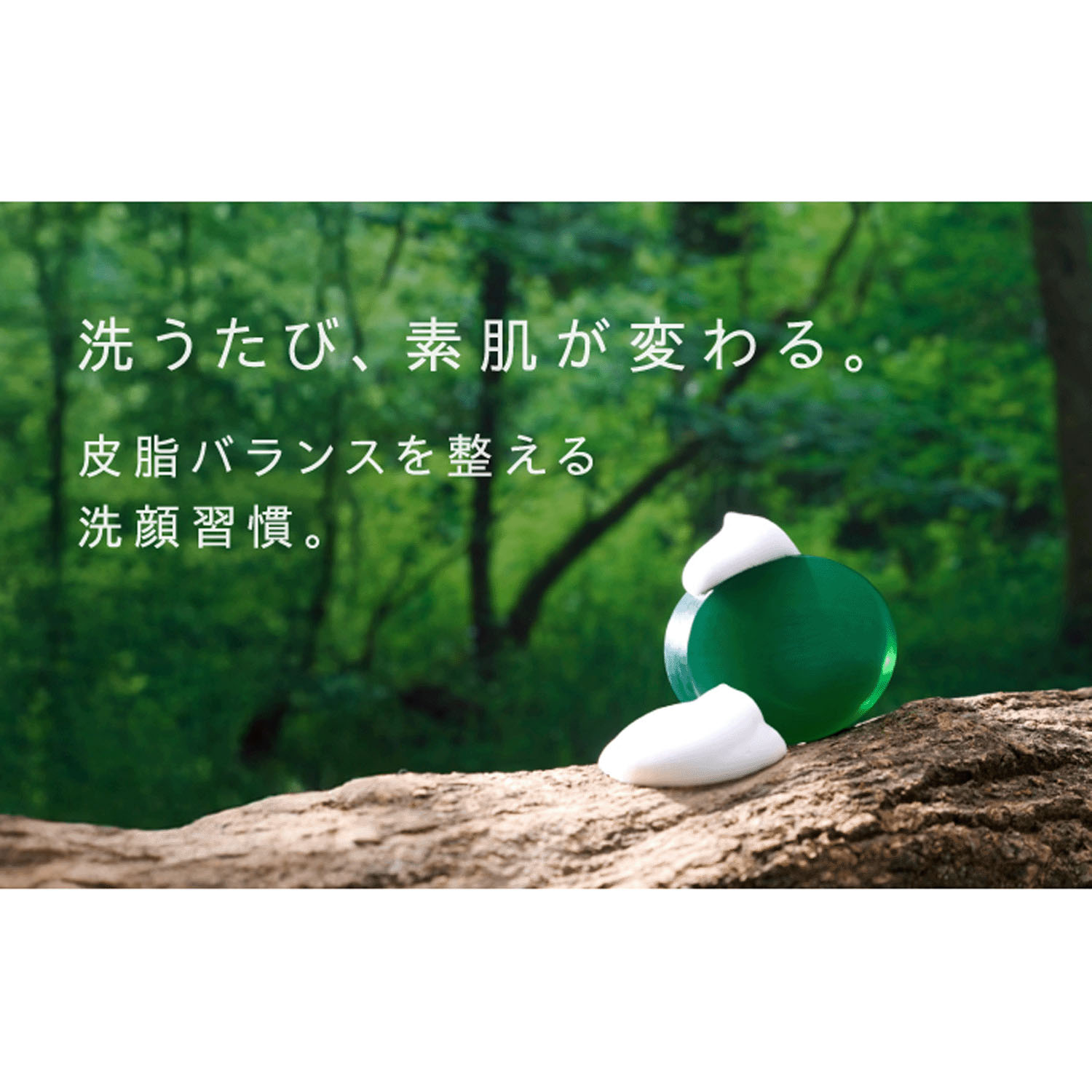 LS クリーンマイルドG