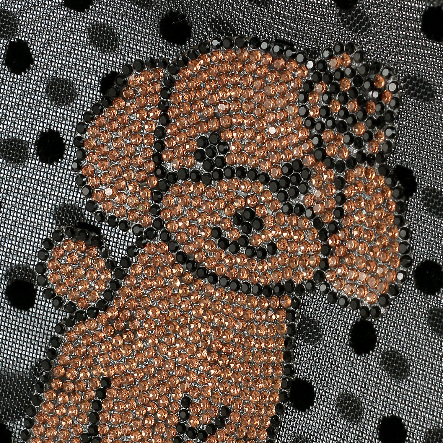 img6
