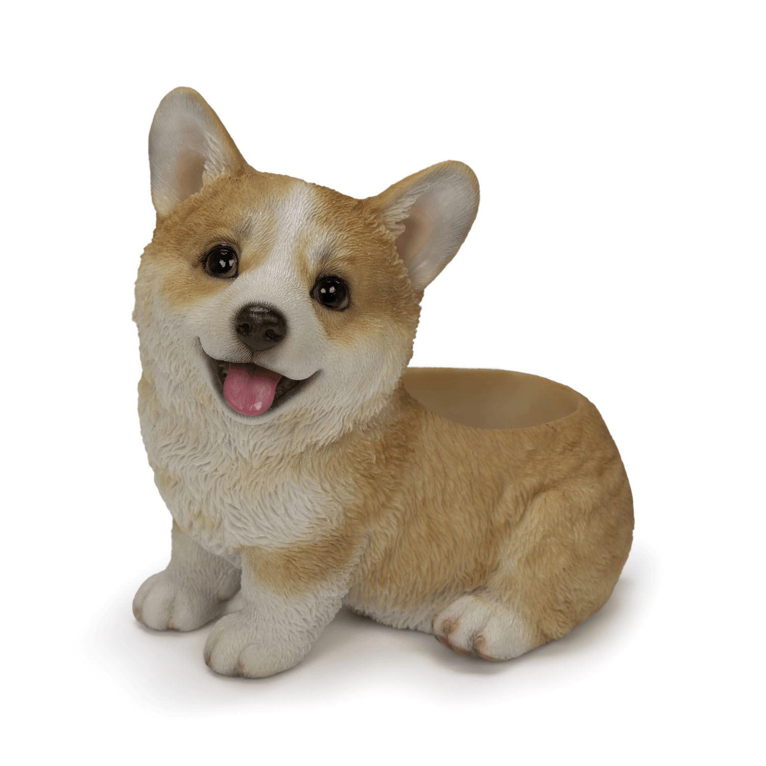 img3