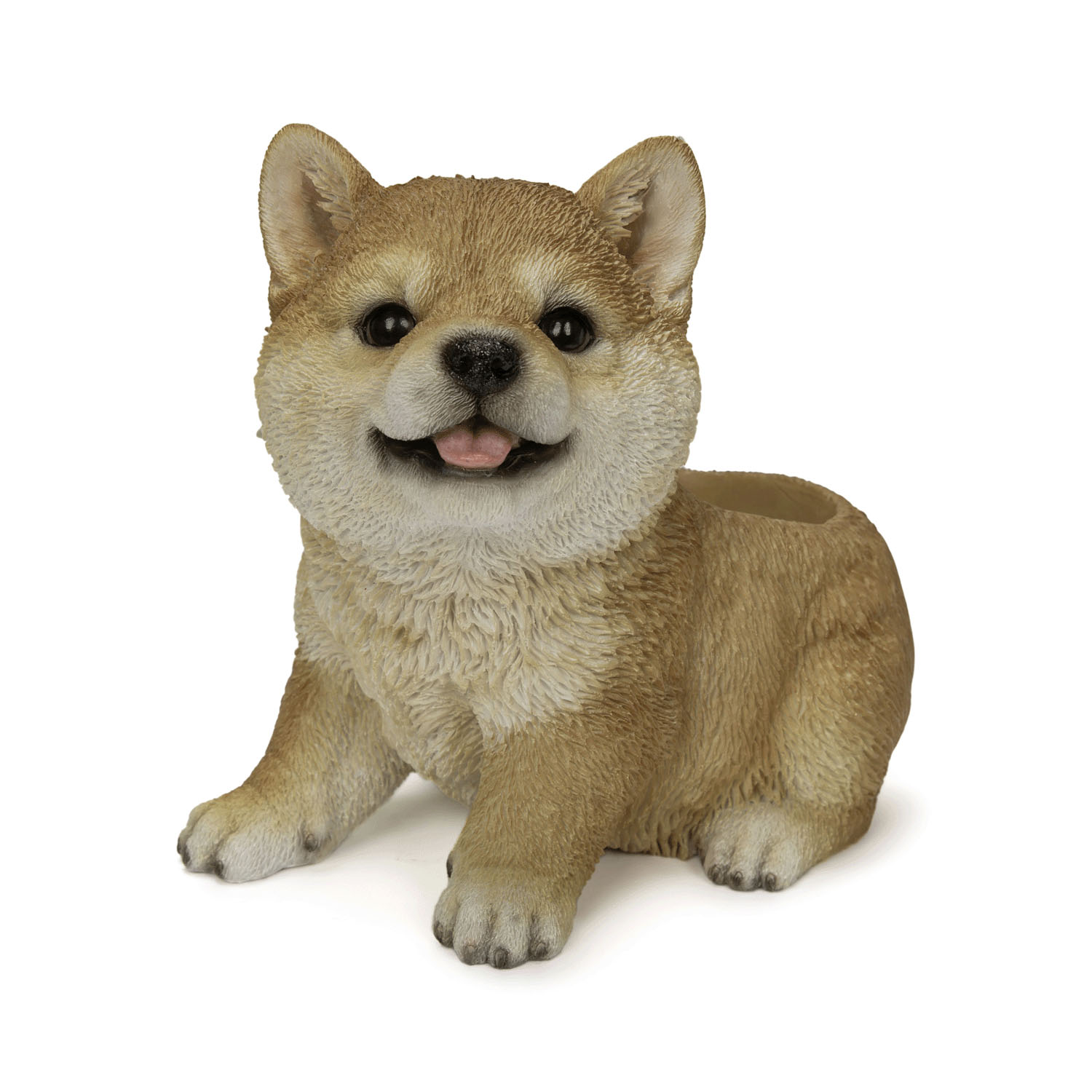 img45