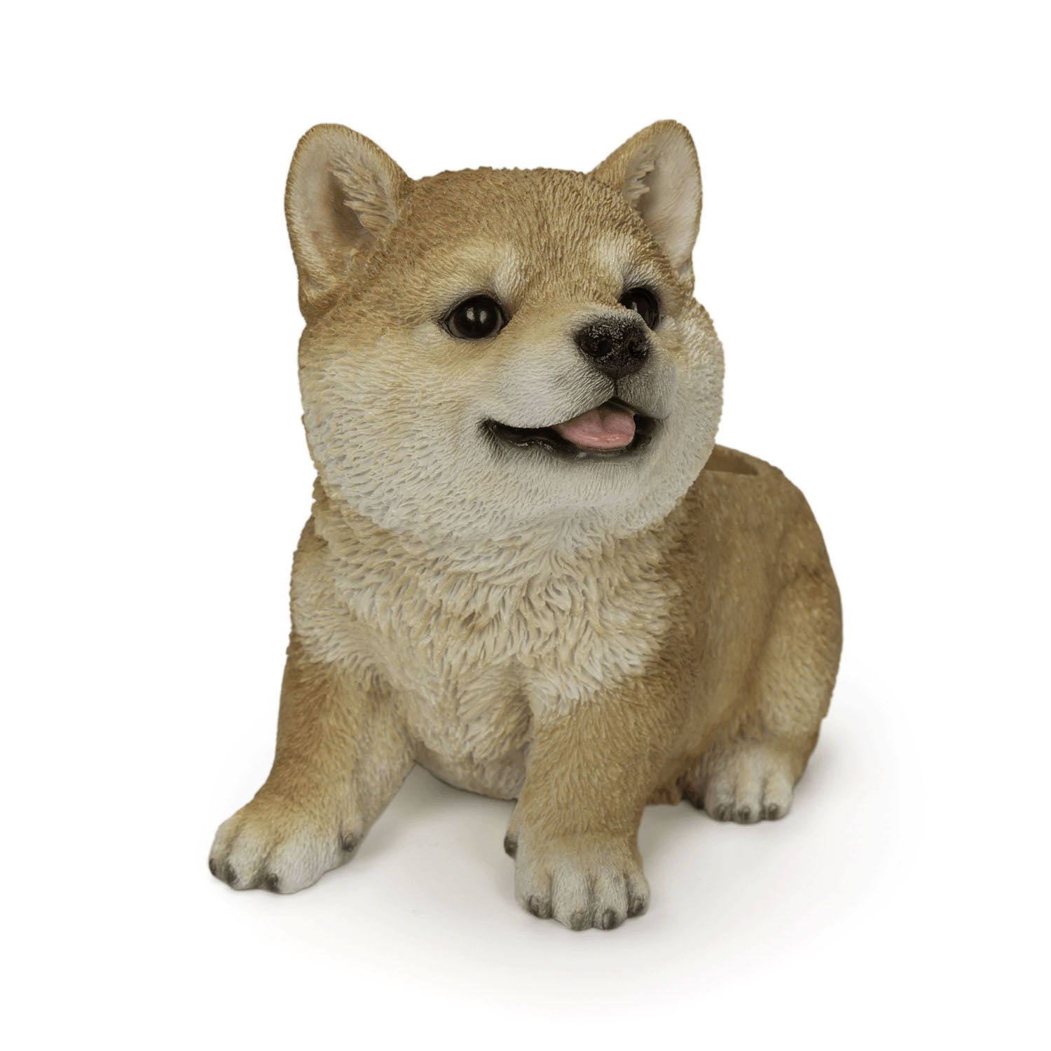 img49